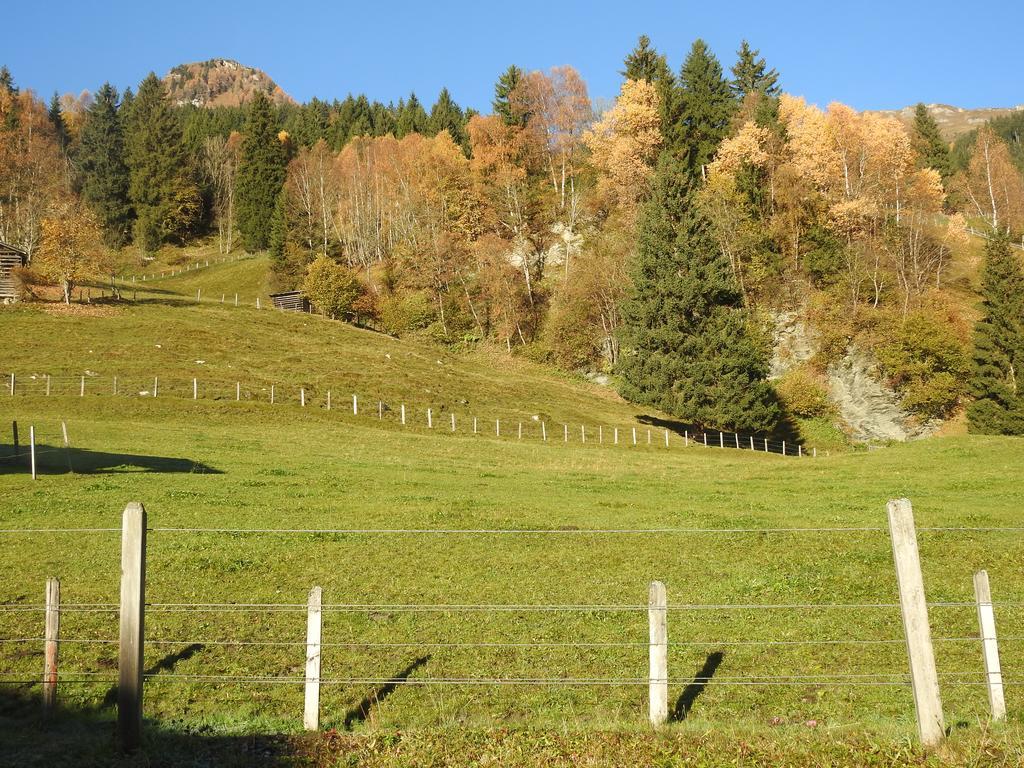 Haslinggut Apartman Bad Hofgastein Kültér fotó